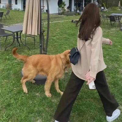 血战红河